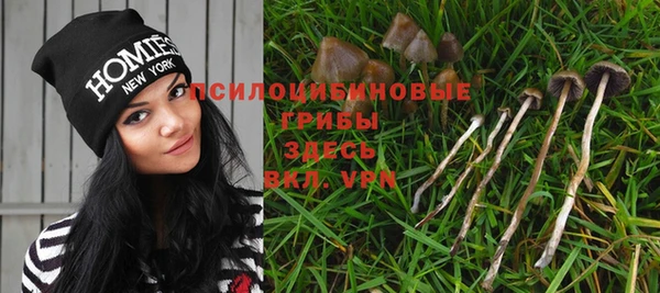 apvp Осинники