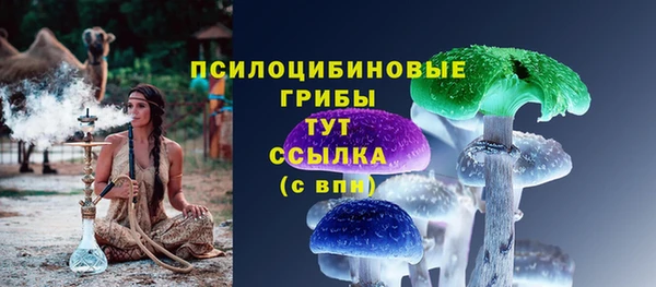 apvp Осинники