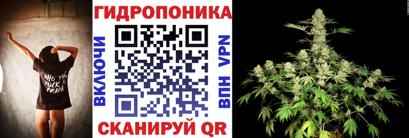 Канабис Amnesia  Кировград 